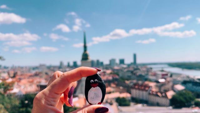 Hand-painted penguin stone #197 hidden at Bratislava Castle, Bratislava, Slovakia