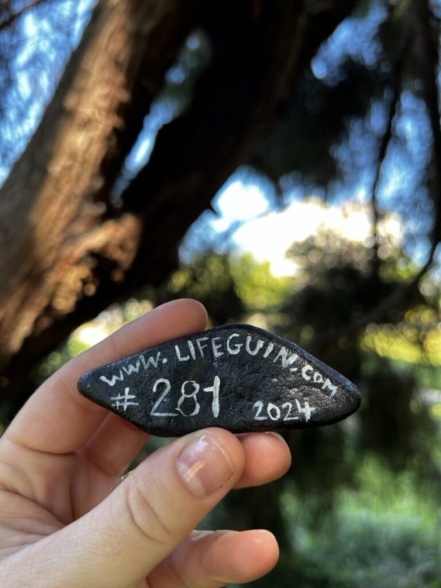 Hand-painted penguin stone #281 hidden at Parc du Thabor, Rennes, France (photo 5 of 5)