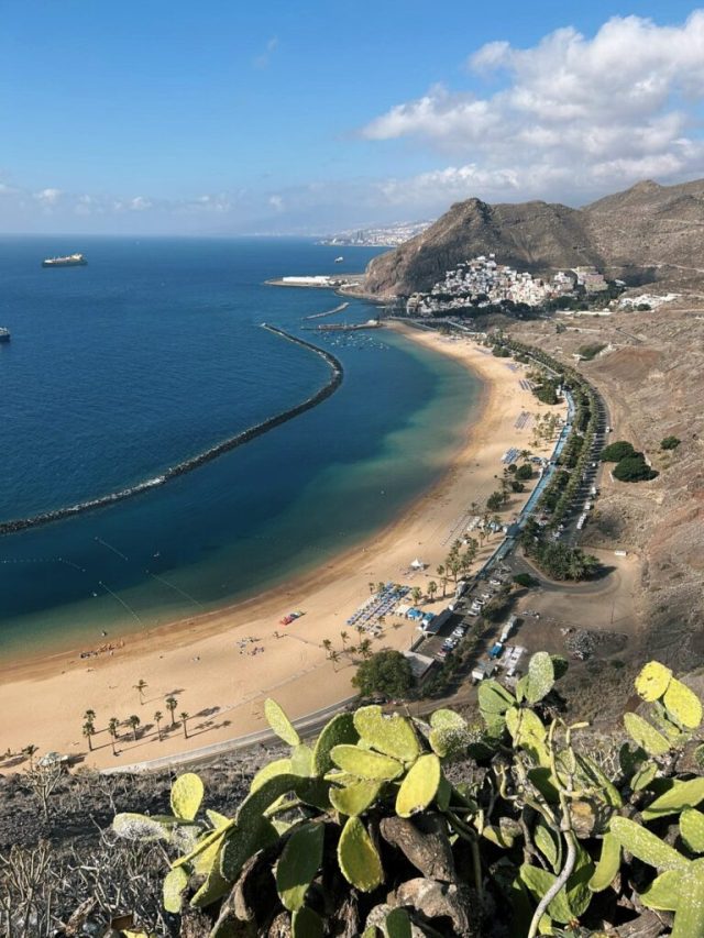 Hand-painted penguin stone #132 hidden at Mirador dos Playas, Santa Cruz de Tenerife, Spain (photo 2 of 5)