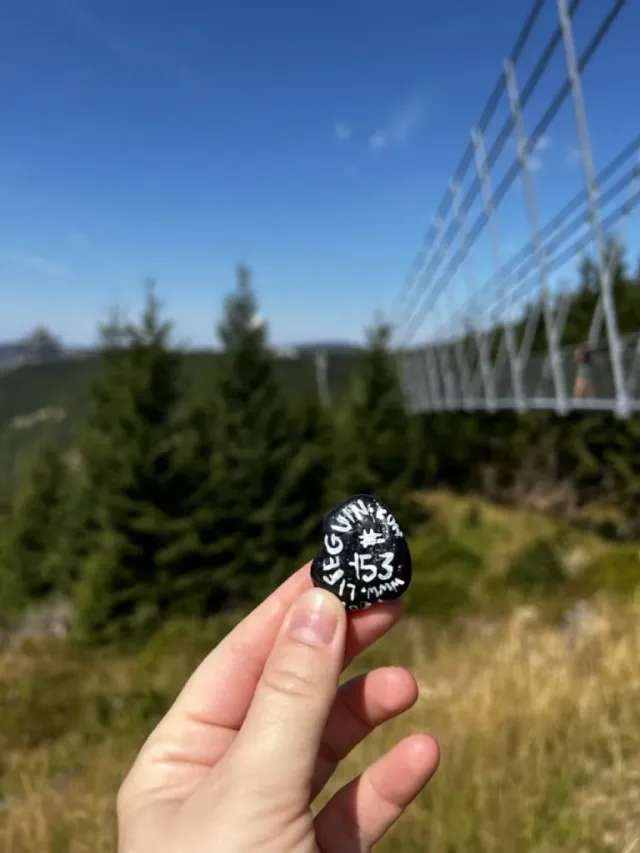 Hand-painted penguin stone #153 hidden at End of Sky Bridge 971, Morava, Czechia (photo 5 of 5)