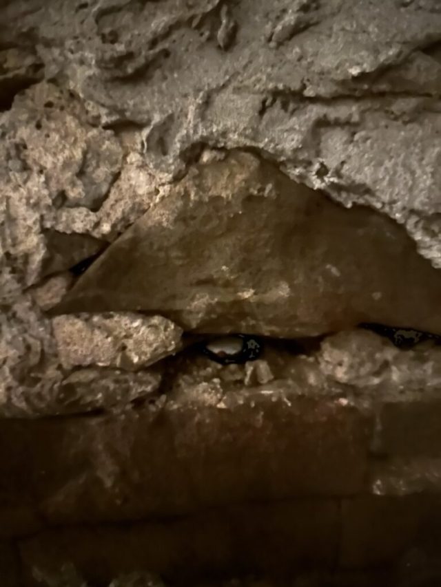 Hand-painted penguin stone #172 hidden at Underground of the Castle Stara Lubovna, Stara Lubovna, Slovakia (photo 5 of 5)