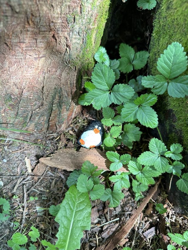 Hand-painted penguin stone #179 hidden at Hofgarten, Innsbruck, Austria (photo 3 of 5)