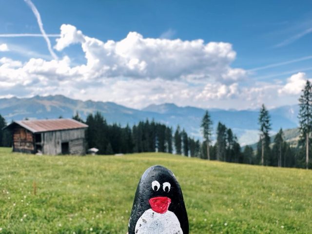 Hand-painted penguin stone #180 hidden at Fichtenschloss Rosenalm, Zell am Ziller, Austria (photo 2 of 5)