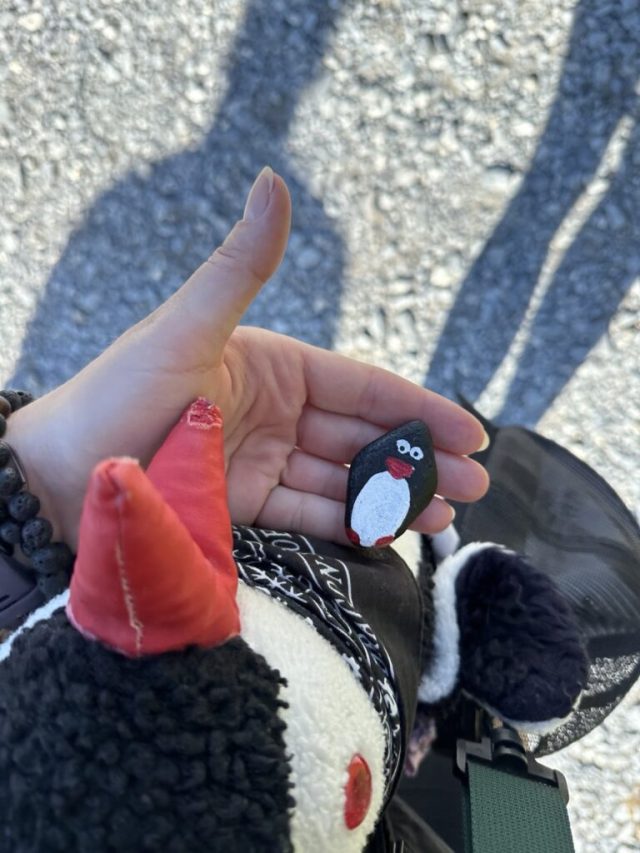 Hand-painted penguin stone #184 hidden at Bachalpsee, First, Switzerland (photo 5 of 5)