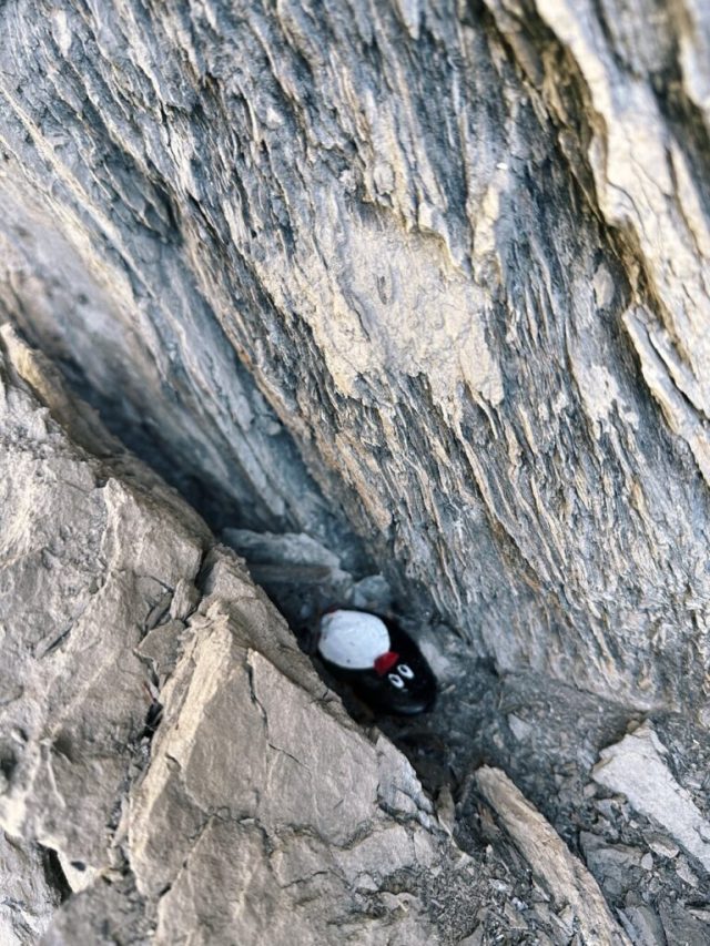 Hand-painted penguin stone #188 hidden at Sprutz Waterfall, Murren, Switzerland (photo 4 of 5)