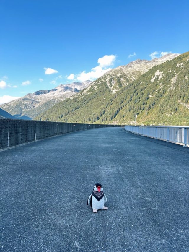 Hand-painted penguin stone #189 hidden at Schlegeisspeicher Reservoir, Tyrol, Austria (photo 2 of 5)