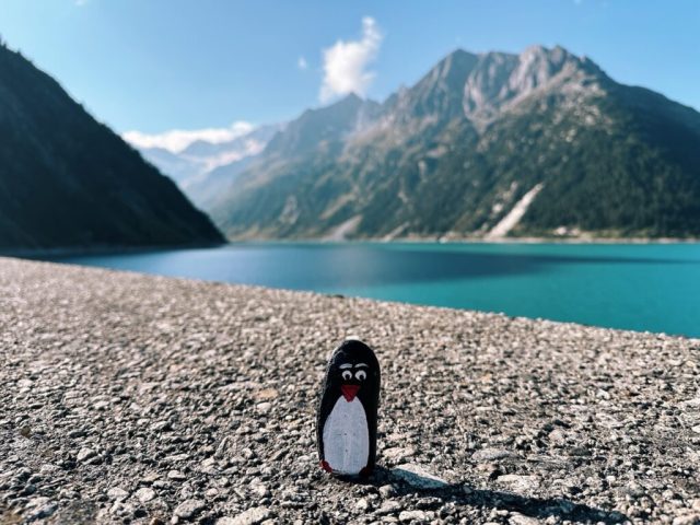 Hand-painted penguin stone #189 hidden at Schlegeisspeicher Reservoir, Tyrol, Austria (photo 3 of 5)