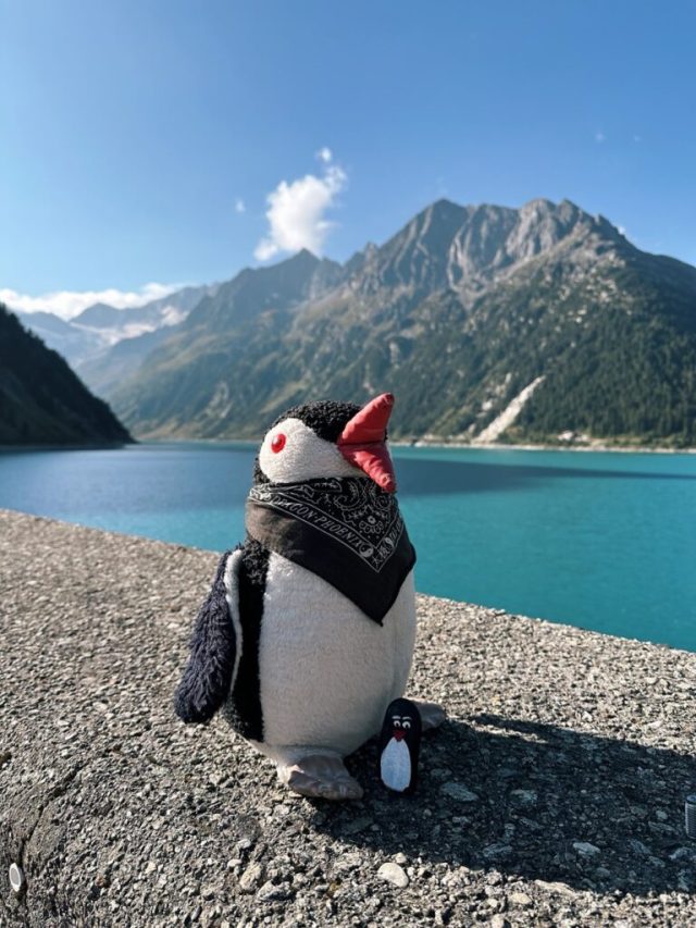 Hand-painted penguin stone #189 hidden at Schlegeisspeicher Reservoir, Tyrol, Austria (photo 4 of 5)