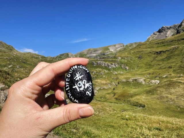 Hand-painted penguin stone #192 hidden at Hiking towards First, Swiss Alps, Switzerland (photo 2 of 5)