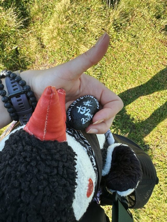 Hand-painted penguin stone #192 hidden at Hiking towards First, Swiss Alps, Switzerland (photo 3 of 5)