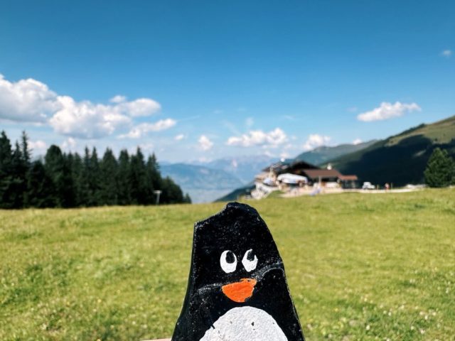Hand-painted penguin stone #193 hidden at Fichtensee auf der Rosenalm, Zell am Ziller, Austria (photo 2 of 5)