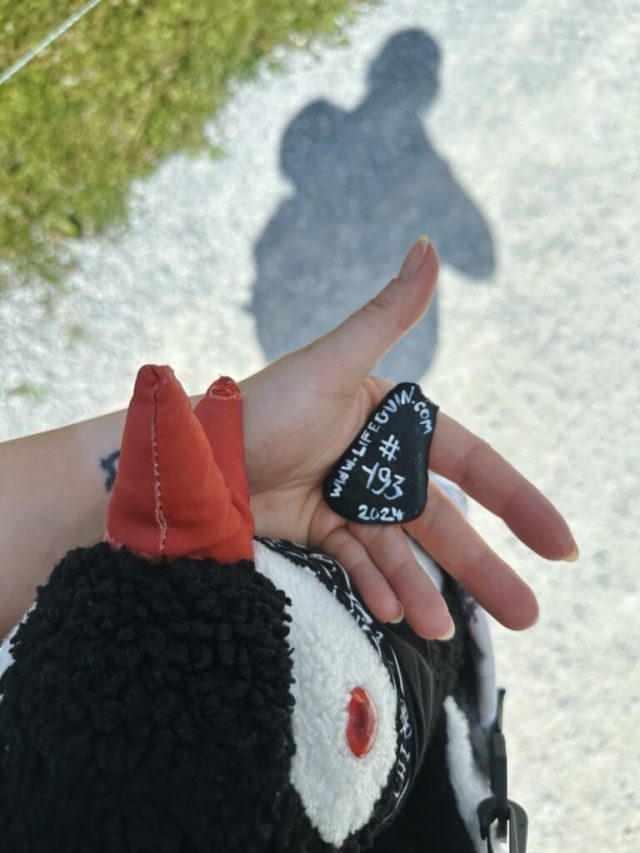 Hand-painted penguin stone #193 hidden at Fichtensee auf der Rosenalm, Zell am Ziller, Austria (photo 4 of 5)