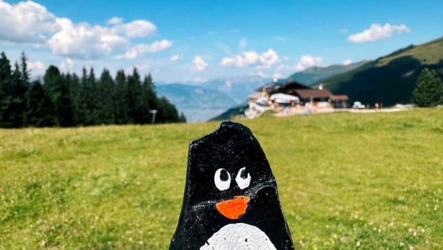 Ručne maľovaný tučniakový kameň č. 193 ukrytý na mieste Fichtensee auf der Rosenalm, Zell am Ziller, Rakúsko