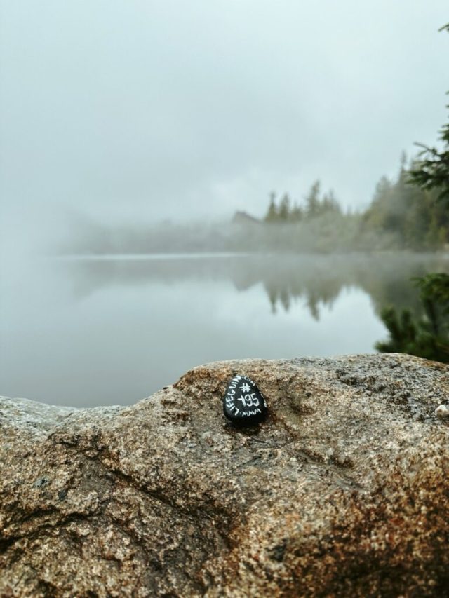 Hand-painted penguin stone #195 hidden at Strbske Pleso, High Tatras, Slovakia (photo 4 of 5)