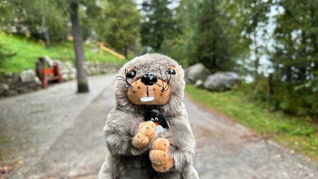 Ručne maľovaný tučniakový kameň č. 195 ukrytý na mieste Štrbské Pleso, High Tatras, Slovensko