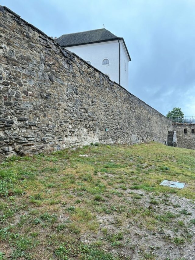 Hand-painted penguin stone #204 hidden at Castle Garden, Stara Lubovna, Slovakia (photo 3 of 5)