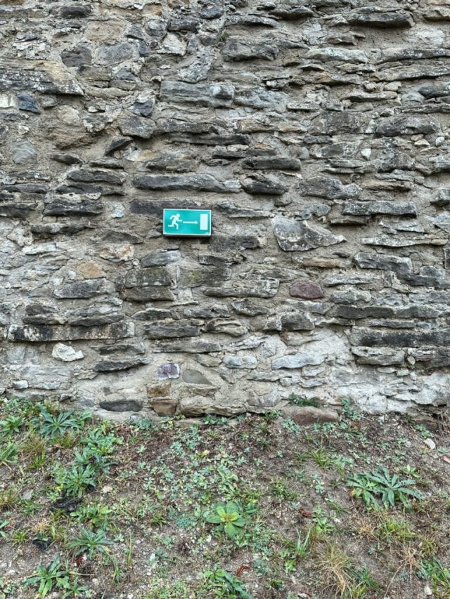 Hand-painted penguin stone #204 hidden at Castle Garden, Stara Lubovna, Slovakia (photo 4 of 5)