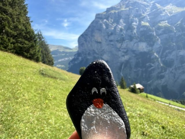 Hand-painted penguin stone #205 hidden at Scenic View, Gimmelwald, Switzerland (photo 2 of 5)