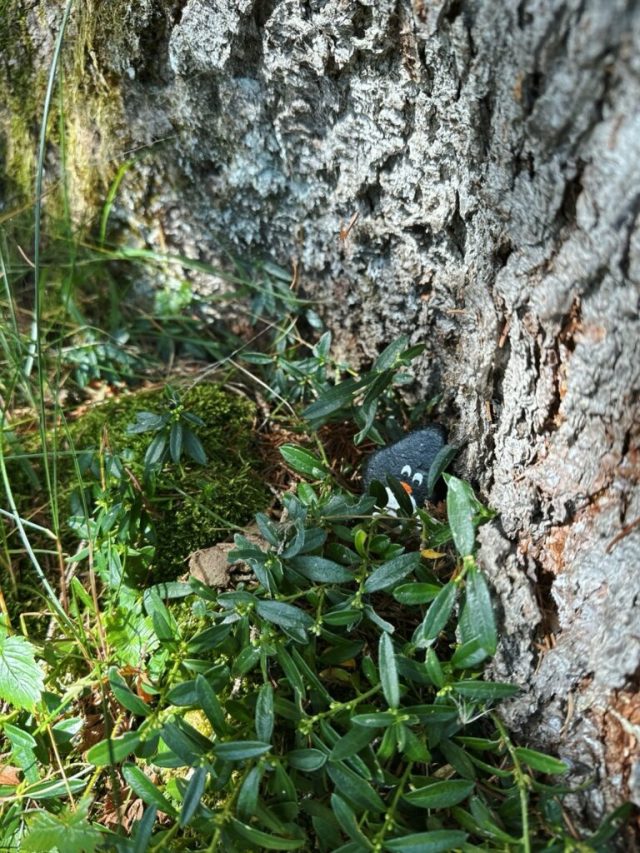 Hand-painted penguin stone #205 hidden at Scenic View, Gimmelwald, Switzerland (photo 5 of 5)