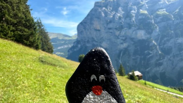 Ručne maľovaný tučniakový kameň č. 205 ukrytý na mieste Scenic View, Gimmelwald, Švajčiarsko
