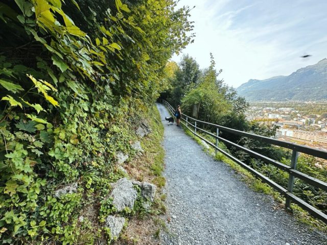 Hand-painted penguin stone #206 hidden at Vaduz Castle, Vaduz, Liechtenstein (photo 2 of 5)