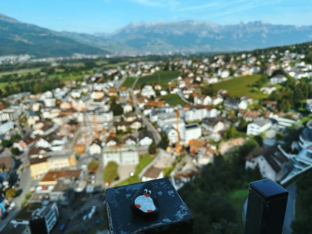 Hand-painted penguin stone #206 hidden at Vaduz Castle, Vaduz, Liechtenstein (photo 3 of 5)