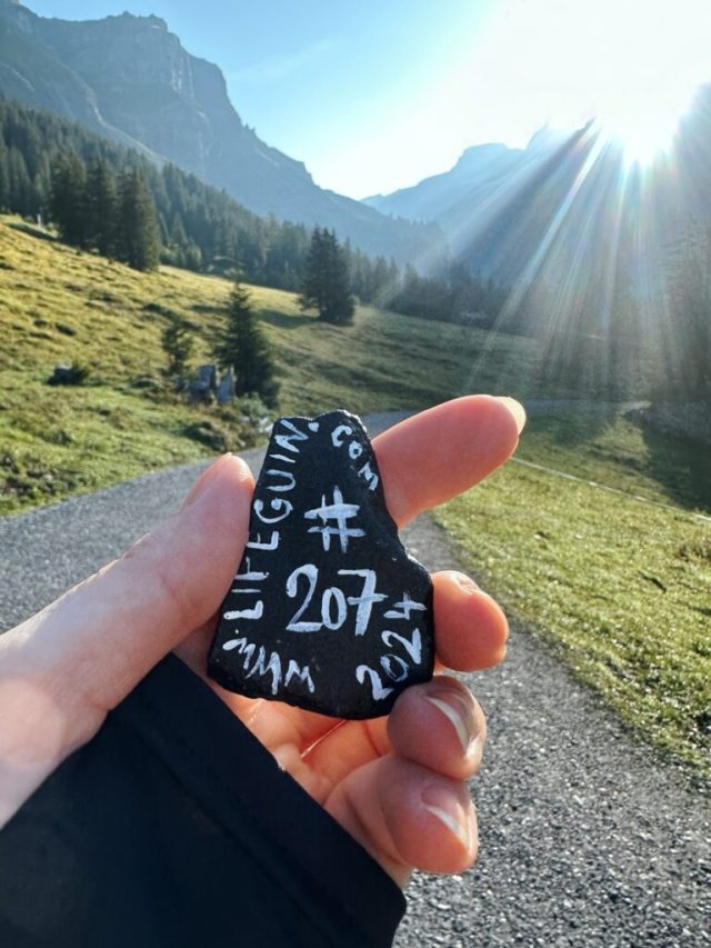 Hand-painted penguin stone #207 hidden at Heuberg, Oeschinen Lake, Switzerland (photo 2 of 5)