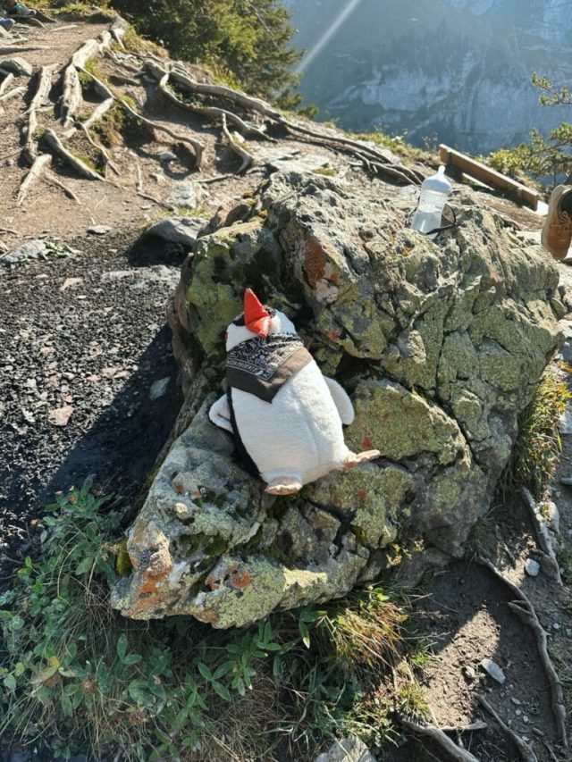 Hand-painted penguin stone #207 hidden at Heuberg, Oeschinen Lake, Switzerland (photo 4 of 5)