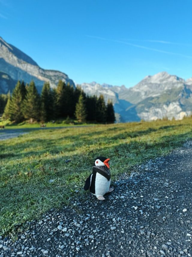 Hand-painted penguin stone #207 hidden at Heuberg, Oeschinen Lake, Switzerland (photo 5 of 5)