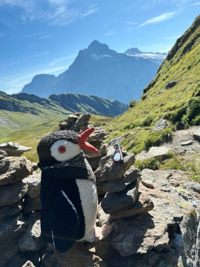 Hand-painted penguin stone #209 hidden at Waterfall, First, Switzerland (photo 2 of 5)