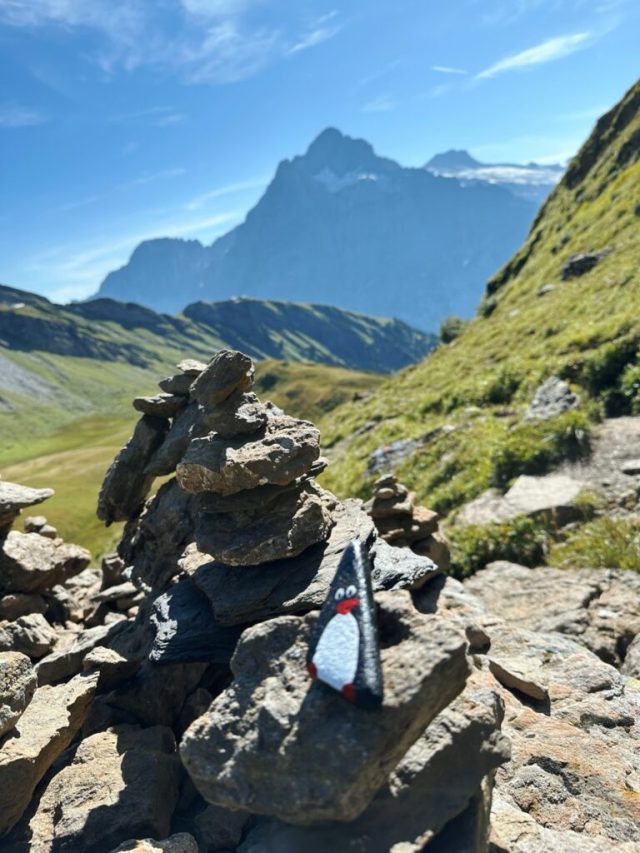 Hand-painted penguin stone #209 hidden at Waterfall, First, Switzerland (photo 3 of 5)
