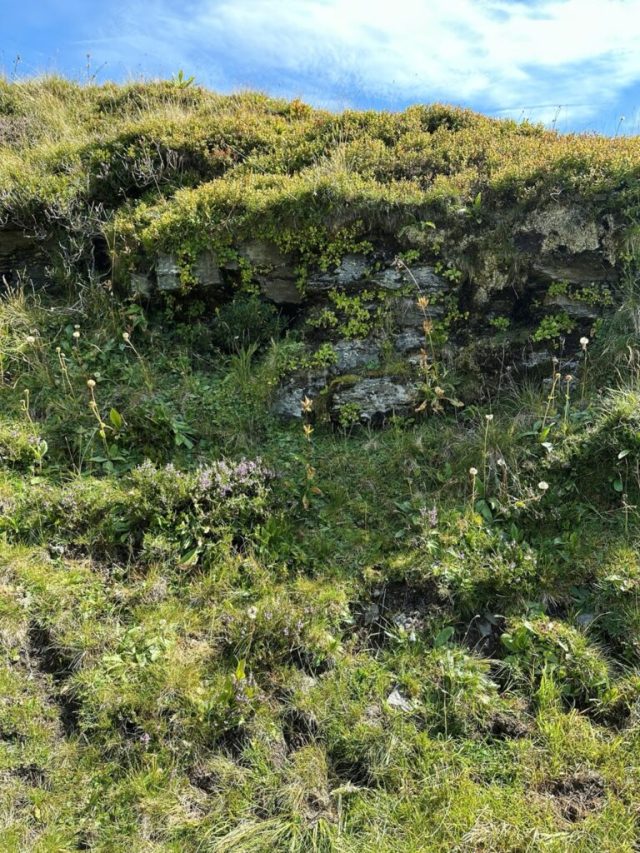 Hand-painted penguin stone #209 hidden at Waterfall, First, Switzerland (photo 4 of 5)