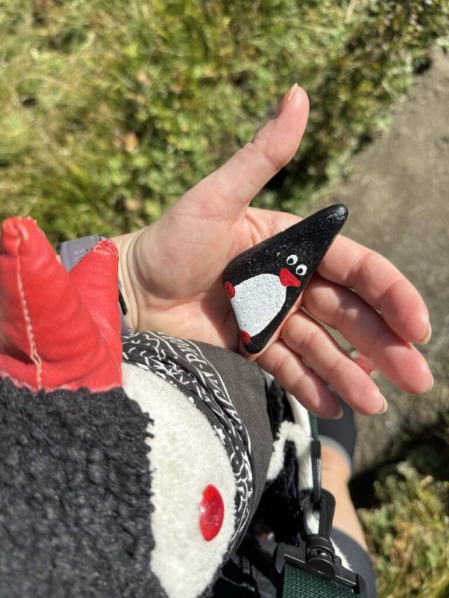 Hand-painted penguin stone #209 hidden at Waterfall, First, Switzerland (photo 5 of 5)
