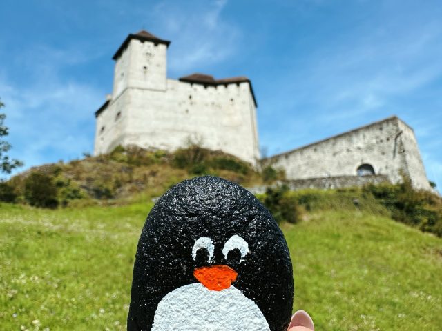 Hand-painted penguin stone #217 hidden at Gutenberg Castle, Balzers, Liechtenstein (photo 2 of 5)