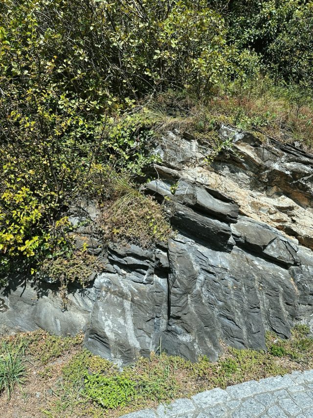 Hand-painted penguin stone #217 hidden at Gutenberg Castle, Balzers, Liechtenstein (photo 3 of 5)