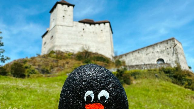 Hand-painted penguin stone #217 hidden at Gutenberg Castle, Balzers, Liechtenstein