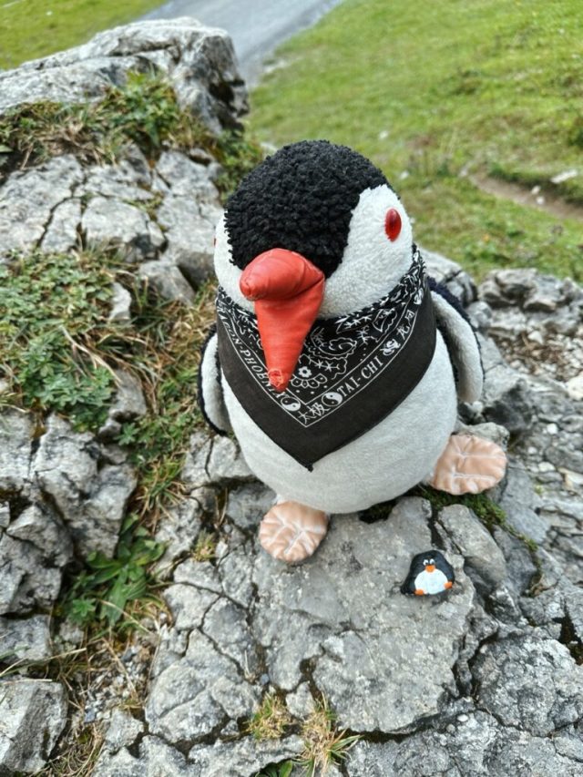 Hand-painted penguin stone #219 hidden at Oeschinen Cable Car, Oeschinen Lake, Switzerland (photo 3 of 5)