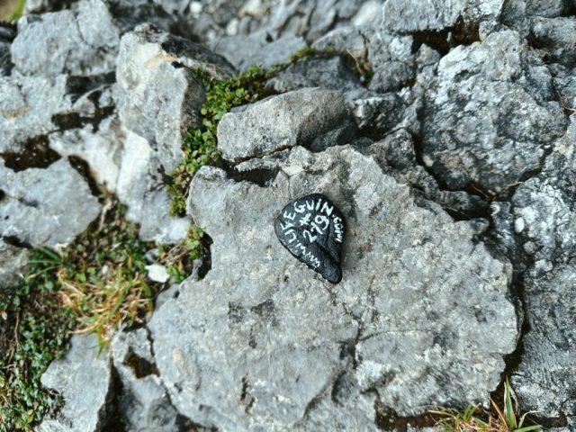 Hand-painted penguin stone #219 hidden at Oeschinen Cable Car, Oeschinen Lake, Switzerland (photo 4 of 5)