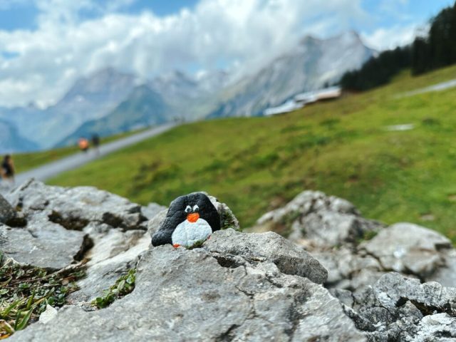 Hand-painted penguin stone #219 hidden at Oeschinen Cable Car, Oeschinen Lake, Switzerland (photo 5 of 5)