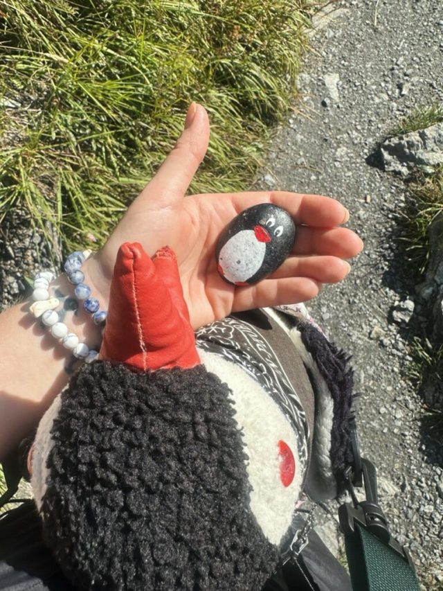Hand-painted penguin stone #221 hidden at View Point Oeschinensee, Oeschinensee Lake, Switzerland (photo 2 of 5)