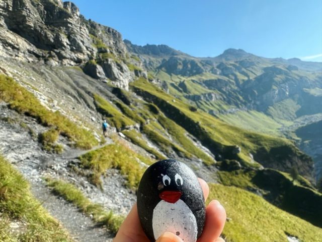 Hand-painted penguin stone #221 hidden at View Point Oeschinensee, Oeschinensee Lake, Switzerland (photo 4 of 5)