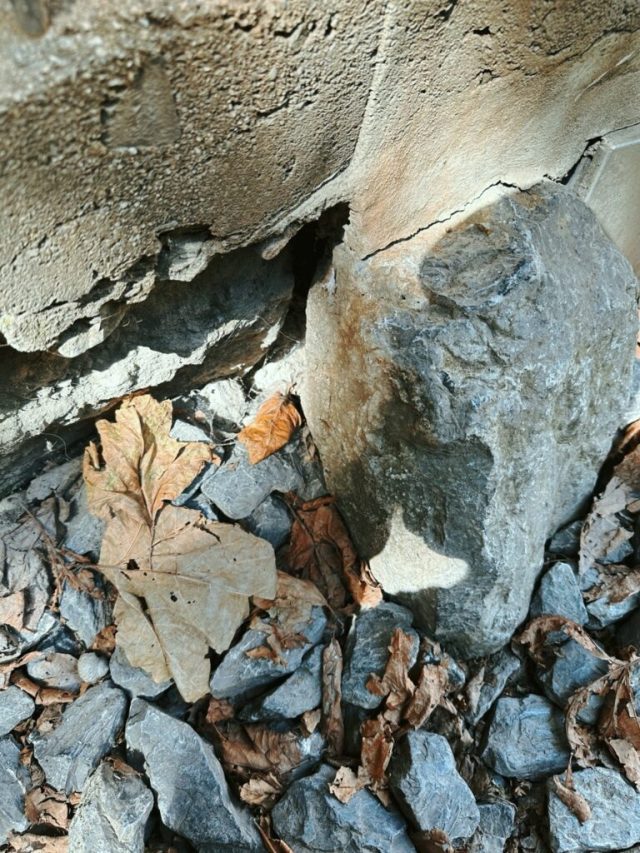 Hand-painted penguin stone #238 hidden at Castle Model, Vaduz, Liechtenstein (photo 3 of 5)