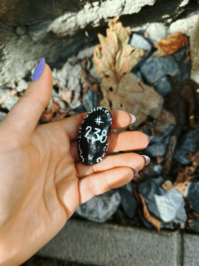 Hand-painted penguin stone #238 hidden at Castle Model, Vaduz, Liechtenstein (photo 4 of 5)