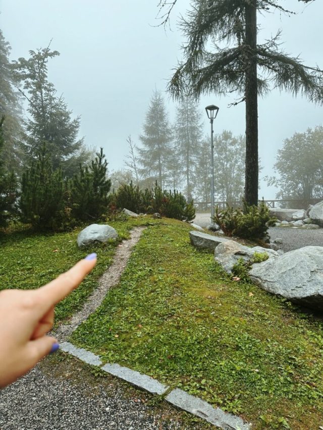 Hand-painted penguin stone #247 hidden at Small stone at Strbske Pleso, High Tatras, Slovakia (photo 2 of 5)