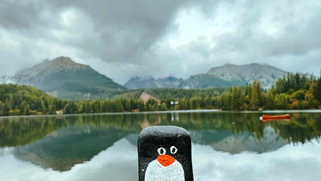 Ručne maľovaný tučniakový kameň č. 247 ukrytý na mieste Small stone at Štrbské Pleso, High Tatras, Slovensko