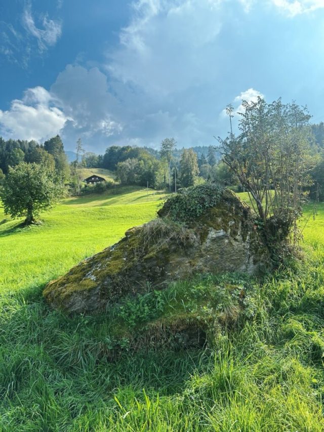 Hand-painted penguin stone #251 hidden at Hiking Path, Leissigen, Switzerland (photo 4 of 5)