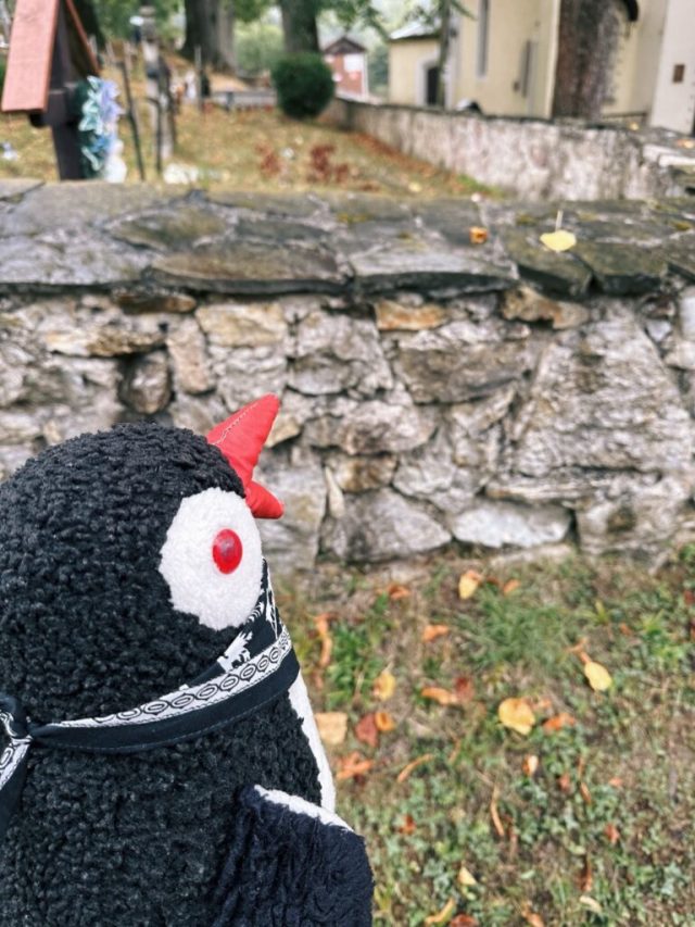 Hand-painted penguin stone #272 hidden at Cemetery, Vlkolinec, Slovakia (photo 2 of 5)