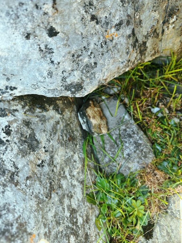 Hand-painted penguin stone #278 hidden at Bench, Oeschinen Lake, Switzerland (photo 2 of 5)