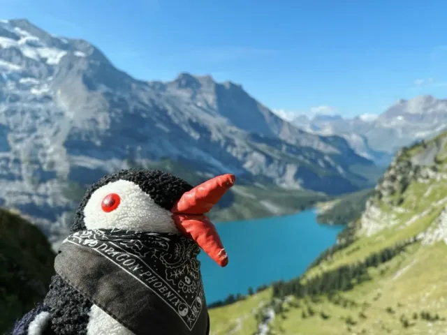 Hand-painted penguin stone #278 hidden at Bench, Oeschinen Lake, Switzerland (photo 4 of 5)