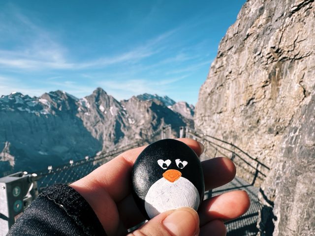 Hand-painted penguin stone #65 hidden at Thrill Walk, Birg, Switzerland (photo 4 of 5)